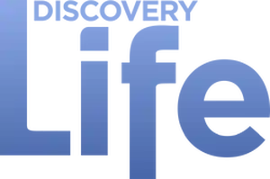 Discovery Life