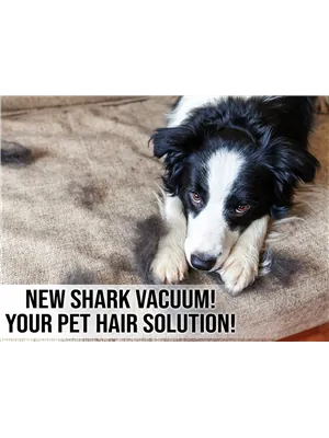 NEW Shark Vacuum! Your Pet Hair Solution!